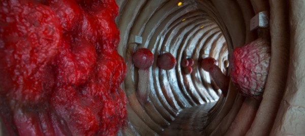 tumore-al-colon-e-flora-intestinale-la-ricerca-passa-dal-ticino