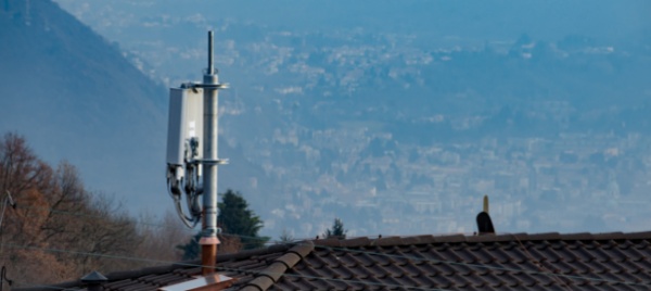 la-moria-di-uccelli-a-causa-del-5g-e-una-vecchia-bufala