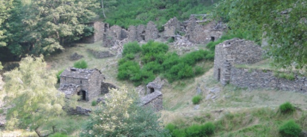 rustici-in-vendita-a-un-franco-l-uno