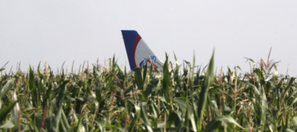 airbus-colpisce-uno-stormo-di-gabbiani-e-atterra-in-un-campo-di-grano