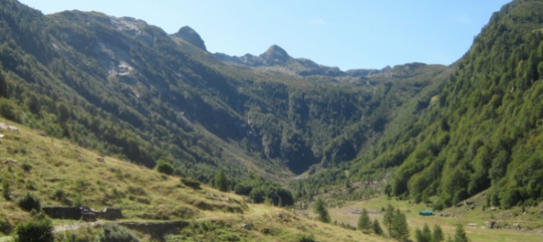 in-val-loana-sembrerebbe-aggirarsi-un-lupo