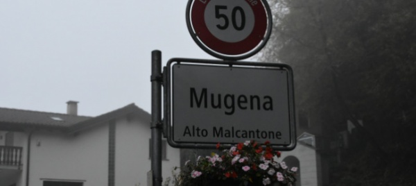 mugena-un-tronco-lo-travolge-e-grave