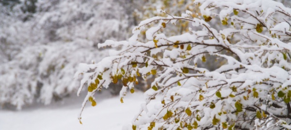 domani-arriva-la-neve-allarme-rosso-in-tutto-il-sopraceneri