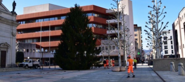 due-abeti-dal-cielo-per-il-natale-di-chiasso