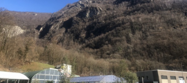 avegno-boschi-di-protezione-da-risanare