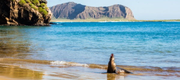 disastro-ambientale-alle-galapagos-unesco-preoccupata