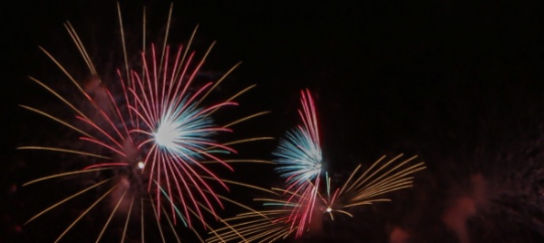 sydney-in-260mila-dicono-no-ai-fuochi-d-artificio-di-san-silvestro