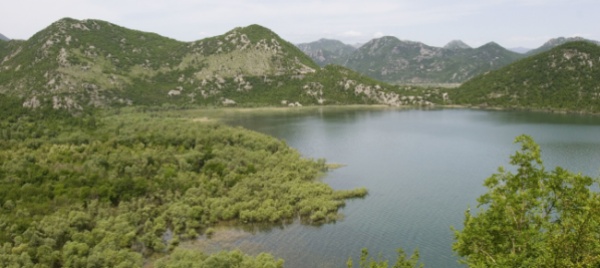 happy-world-wetlands-day