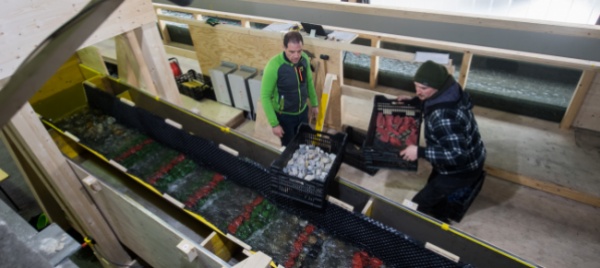 le-problematiche-dei-fiumi-simulate-in-laboratorio