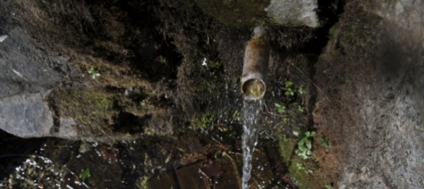 acqua-e-sostanze-nutritive-occorre-stare-al-passo-coi-tempi