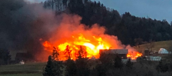 zurigo-fattoria-ed-edifici-distrutti-dalle-fiamme