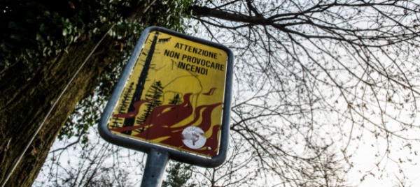 fiamme-nel-sottobosco-subito-domate