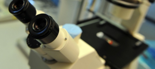 l-intelligenza-artificiale-sa-controllare-un-microscopio
