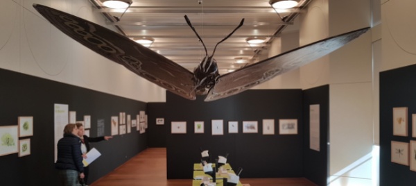 meravigliarsi-della-natura-mostra-e-attivita-a-castelgrande