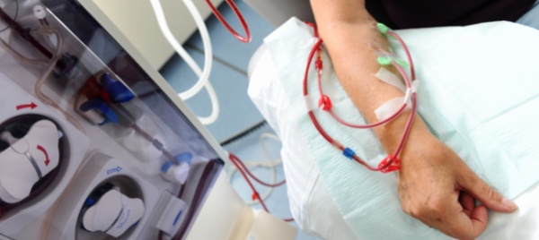eoc-nel-2019-ricavi-per-740-milioni