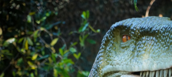 avvistamenti-di-dinosauri-nella-rotonda-di-locarno