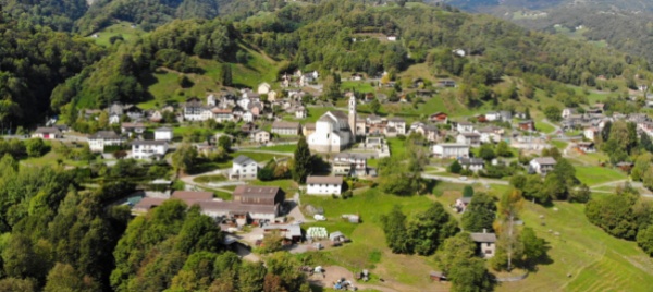 dieci-anni-di-cure-per-110-ettari-di-bosco-a-leontica