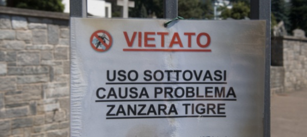 locarno-task-force-anti-zanzara-tigre