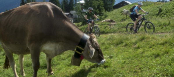 gusta-e-pedala-il-percorso-enogastronomico-quasi-esaurito