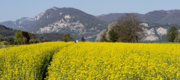 almeno-tre-notti-nel-mendrisiotto-portano-buoni-sconto
