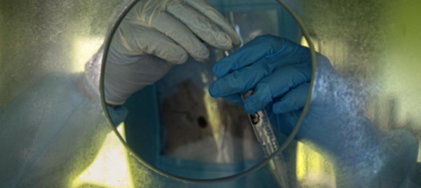 coronavirus-oms-troppi-paesi-ora-si-scordano-dell-emergenza