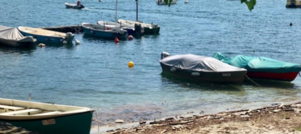minusio-una-donna-in-difficolta-nel-lago-salvata-da-bagnanti