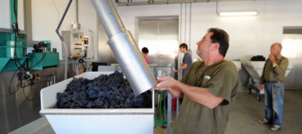 la-cantina-di-giubiasco-cerca-un-nuovo-direttore