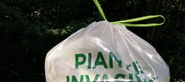 in-valle-di-blenio-arrivano-i-sacchi-per-le-piante-invasive