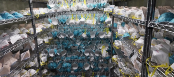 la-maschera-non-frena-gli-acquisti