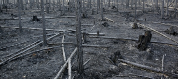 record-di-emissioni-a-causa-degli-incendi-nell-artico