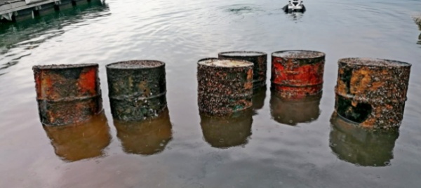 ascona-recupero-d-idrocarburi-e-di-20-vecchi-bidoni-dal-lago