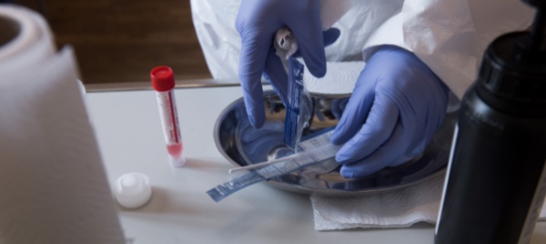 coronavirus-in-svizzera-2-823-nuovi-casi-e-otto-decessi