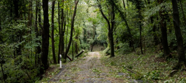 la-tempesta-colpisce-duro-la-rete-dei-sentieri-del-mendrisiotto