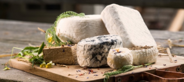 slow-food-ticino-da-visibilita-ai-piccoli-produttori-locali