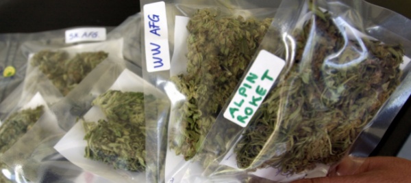 scoperto-maxi-traffico-internazionale-di-canapa-e-hashish