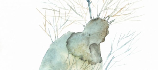 sighanda-tra-gli-alberi-l-arte-val-bene-un-click