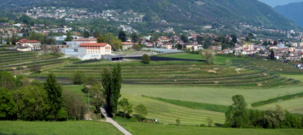 l-azienda-agraria-cantonale-di-mezzana-sbarca-sui-social