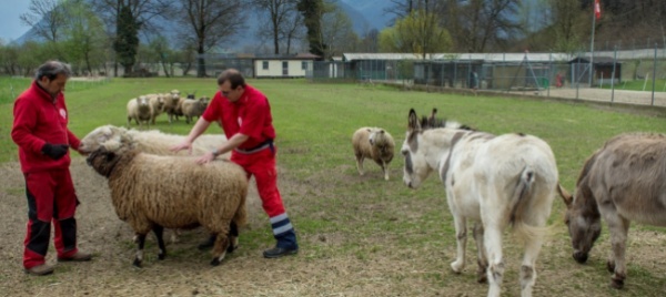 la-spab-lancia-l-allarme-siamo-vicini-al-limite