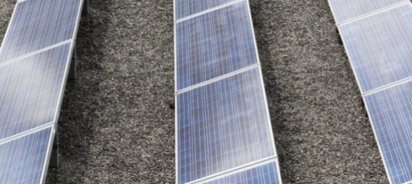 fotovoltaico-su-tutti-gli-immobili-dell-amministrazione-federale
