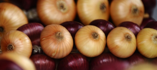belgio-ladro-colpisce-la-dipendente-con-le-cipolle