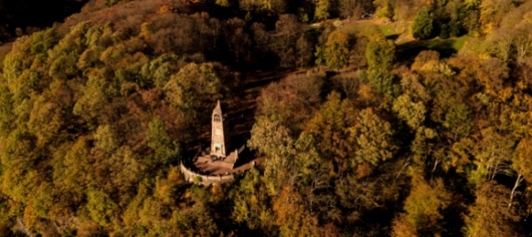 le-foreste-europee-possono-assorbire-piu-anidride-carbonica