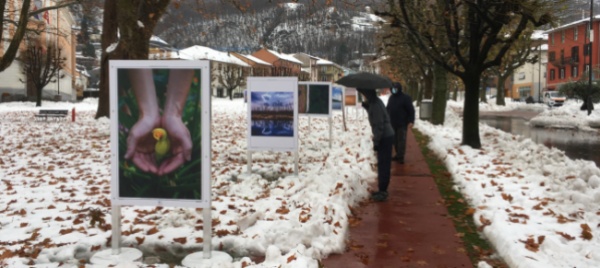 foto-da-ammirare-open-air-in-piazza-grande-a-giubiasco