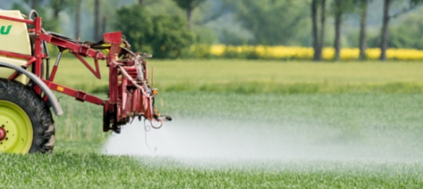 pesticidi-nelle-acque-svizzere-norme-ampiamente-superate