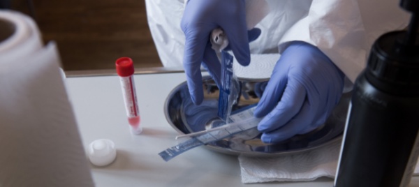 coronavirus-in-ticino-altri-272-contagi-e-6-decessi