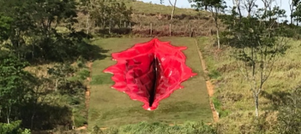 brasile-la-scultura-a-forma-di-vulva-crea-polemiche