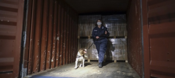 ecuador-cane-antidroga-fiuta-1-3-tonnellate-di-cocaina