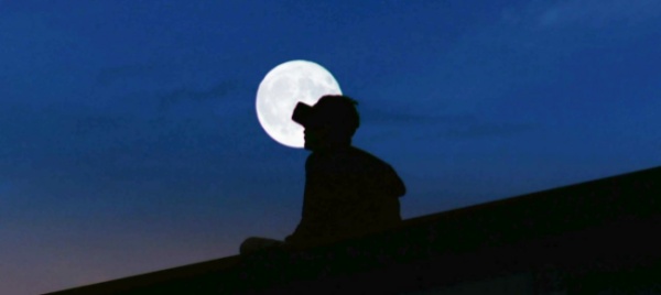 febbraio-e-il-mese-delle-locarno-shorts-weeks