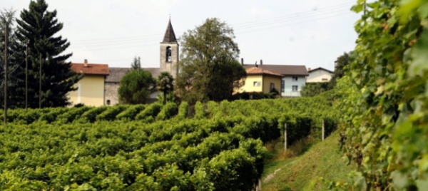 lo-sportello-come-legame-tra-quartiere-e-comune