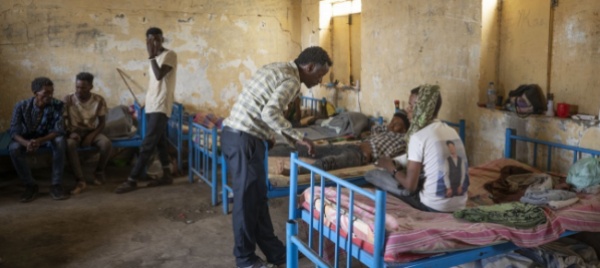 ong-basta-rimpatri-forzati-dalla-svizzera-all-etiopia