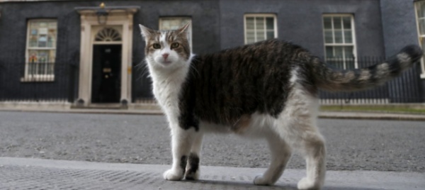 dieci-anni-a-downing-street-larry-e-il-gatto-dei-record